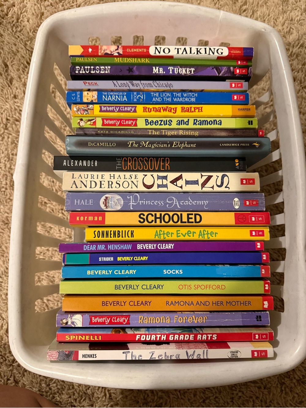 Children's Chapter Book Lot - Bright Multicolor Spines